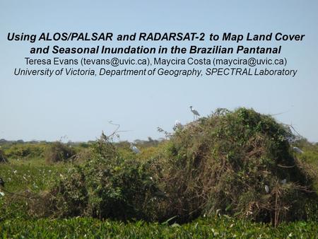 Using ALOS/PALSAR and RADARSAT-2 to Map Land Cover and Seasonal Inundation in the Brazilian Pantanal Teresa Evans Maycira Costa