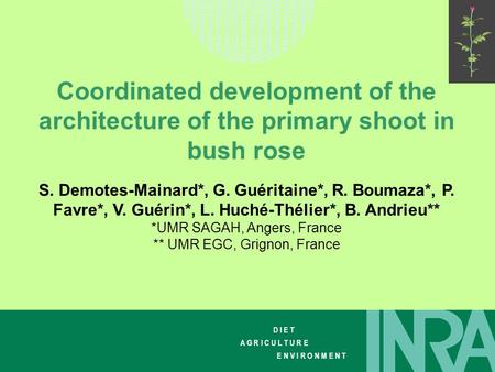 Coordinated development of the architecture of the primary shoot in bush rose S. Demotes-Mainard*, G. Guéritaine*, R. Boumaza*, P. Favre*, V. Guérin*,