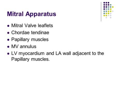 Mitral Apparatus Mitral Valve leaflets Chordae tendinae Papillary muscles MV annulus LV myocardium and LA wall adjacent to the Papillary muscles.