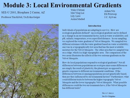 Module 3: Local Environmental Gradients Introduction Individuals of populations are adapting to survive. How are ecological gradients defined? An ecological.