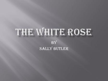 The White Rose By Sally Butler.