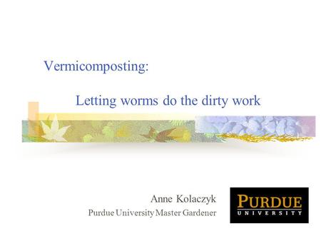 Vermicomposting: Letting worms do the dirty work
