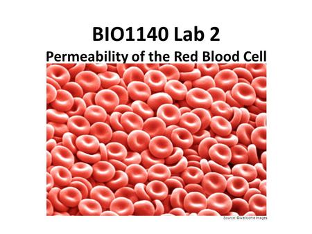 BIO1140 Lab 2 Permeability of the Red Blood Cell