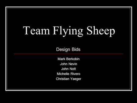 Team Flying Sheep Mark Berkobin John Nevin John Nott Michelle Rivero Christian Yaeger Design Bids.