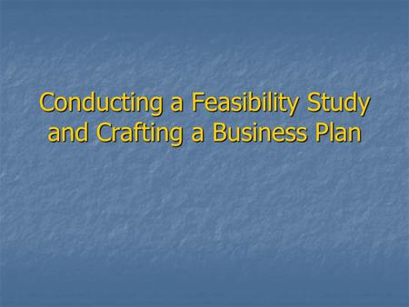Conducting a Feasibility Study and Crafting a Business Plan