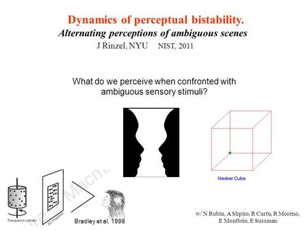Dynamics of perceptual bistability. Alternating perceptions of ambiguous scenes J Rinzel, NYU NIST, 2011 w/ N Rubin, A Shpiro, R Curtu, R Moreno, E Montbrio,