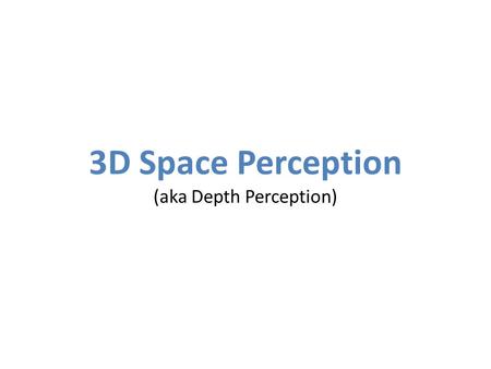 3D Space Perception (aka Depth Perception)