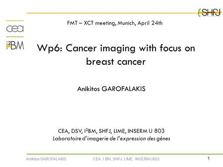 1 Anikitos GAROFALAKIS CEA, I 2 BM, SHFJ, LIME, INSERM U803 Wp6: Cancer imaging with focus on breast cancer Anikitos GAROFALAKIS CEA, DSV, I 2 BM, SHFJ,