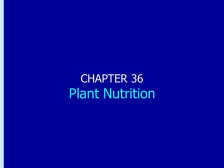 Chapter 36: Plant Nutrition CHAPTER 36 Plant Nutrition.
