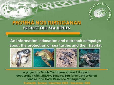 PROTEHÁ NOS TURTUGANAN PROTECT OUR SEA TURTLES PROTEHÁ NOS TURTUGANAN PROTECT OUR SEA TURTLES A project by Dutch Caribbean Nature Alliance in cooperation.