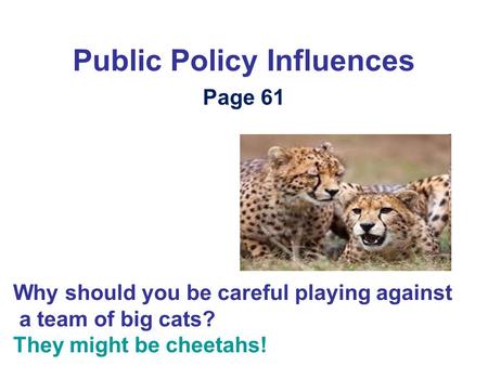 Public Policy Influences Page 61 Why should you be careful playing against a team of big cats? They might be cheetahs!