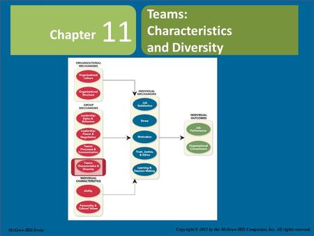 Teams:  Characteristics and Diversity