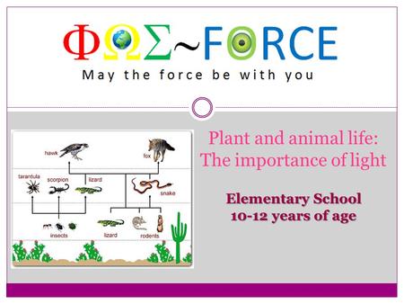 Elementary School 10-12 years of age Plant and animal life: The importance of light Elementary School 10-12 years of age.