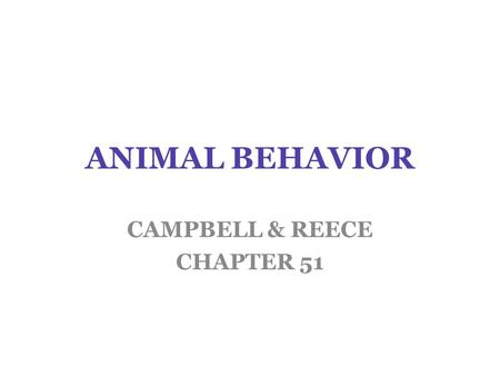 CAMPBELL & REECE CHAPTER 51