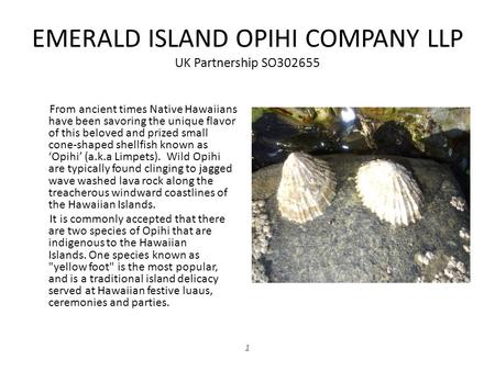 EMERALD ISLAND OPIHI COMPANY LLP UK Partnership SO302655 From ancient times Native Hawaiians have been savoring the unique flavor of this beloved and prized.