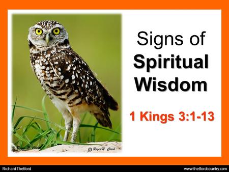 Spiritual Wisdom Signs of Spiritual Wisdom 1 Kings 3:1-13 Richard Thetford www.thetfordcountry.com.