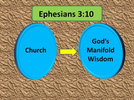 Church God’s Manifold Wisdom Ephesians 3:10. Church Church Exalted God’s Fullness (Eph.1:22-23, 4:6) “One Body” – Spirit’s Unity (Eph. 4:3-4, 15-16) Jesus.