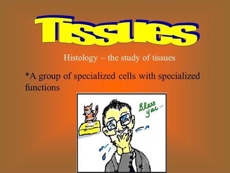 *A group of specialized cells with specialized functions Histology – the study of tissues.