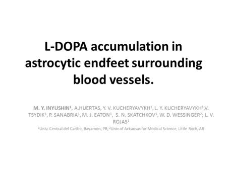 L-DOPA accumulation in astrocytic endfeet surrounding blood vessels. M. Y. INYUSHIN 1, A.HUERTAS, Y. V. KUCHERYAVYKH 1, L. Y. KUCHERYAVYKH 1,V. TSYDIK.