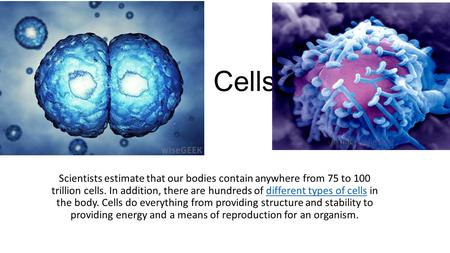 Cells Scientists estimate that our bodies contain anywhere from 75 to 100 trillion cells. In addition, there are hundreds of different types of cells in.