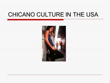 CHICANO CULTURE IN THE USA. Definition Chicano noun (pl. –os) (especially AmE) a N American person whose family came from Mexico Latino noun (pl. –os)