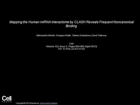 Mapping the Human miRNA Interactome by CLASH Reveals Frequent Noncanonical Binding Aleksandra Helwak, Grzegorz Kudla, Tatiana Dudnakova, David Tollervey.