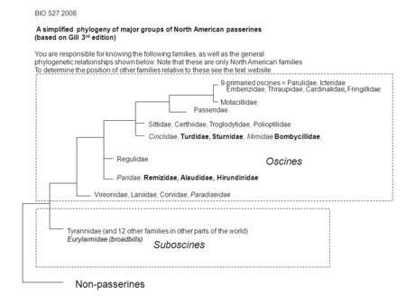 BIO 527 2008 A simplified phylogeny of major groups of North American passerines (based on Gill 3 rd edition) You are responsible for knowing the following.