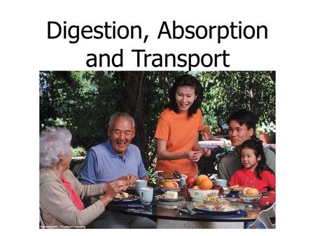 Digestion, Absorption and Transport Objectives for Chapter 3 List the organs and accessory organs of the digestive tract. Discuss the main roles of each.
