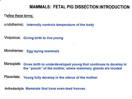 Internally controls temperature of the body Giving birth to live young Egg laying mammals Gives birth to underdeveloped young that continues to develop.