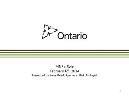 MNR’s Role February 6 th, 2014 Presented by Kerry Reed, Species at Risk Biologist 1.