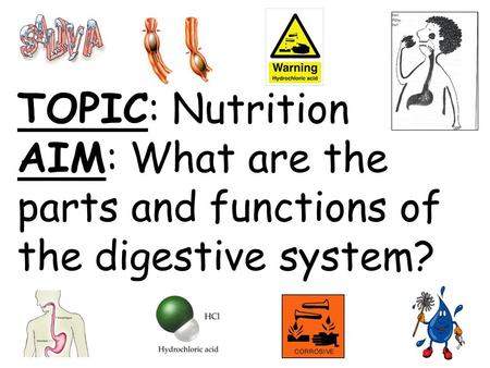 2 Types of Digestion. TOPIC: Nutrition AIM: What are the parts and functions of the digestive system?