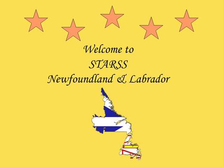 Welcome to STARSS Newfoundland & Labrador. A Year in Review  October  Invitation from PHAC for NL Pilot Site  Lisa pitched STARSS to Board of Directors.