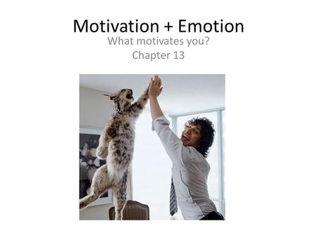 Motivation + Emotion What motivates you? Chapter 13.