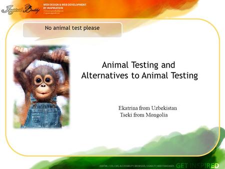No animal test please Animal Testing and Alternatives to Animal Testing Ekatrina from Uzbekistan Tseki from Mongolia.