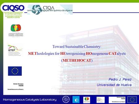 Pedro J. Pérez Universidad de Huelva Toward Sustainable Chemistry: METhodologies for HEterogenising HOmogenous CATalysts (METHEHOCAT)