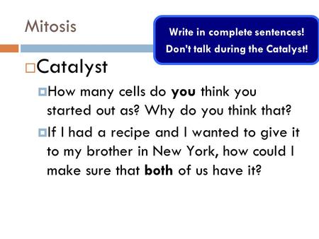 Write in complete sentences! Don’t talk during the Catalyst!