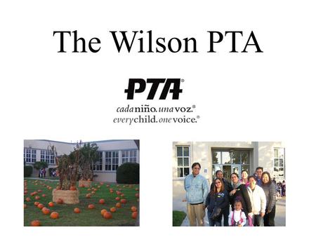 The Wilson PTA. PTA’s Work during 2013-2014 Wilson Homework Folders & RAH bags provided Cookie dough fundraiser ($10,900 profit) Pumpkin Patch organized.