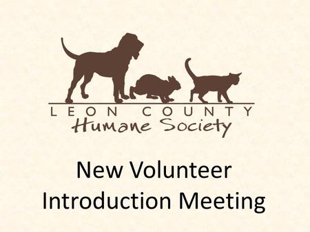 New Volunteer Introduction Meeting. A Little Bit About LCHS Olaf Formed in 1960. We have over 50 years of experience in animal welfare. Adopt out between.