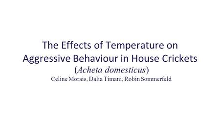 The Effects of Temperature on Aggressive Behaviour in House Crickets ( Acheta domesticus) Celine Morais, Dalia Timani, Robin Sommerfeld.