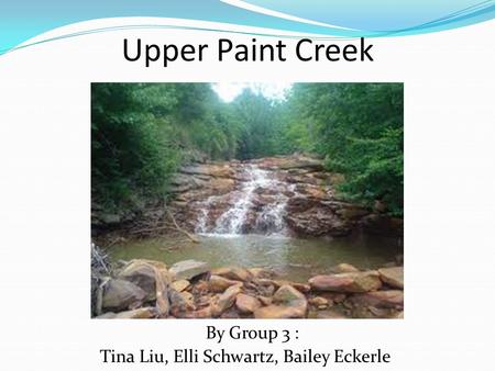 Upper Paint Creek By Group 3 : Tina Liu, Elli Schwartz, Bailey Eckerle.