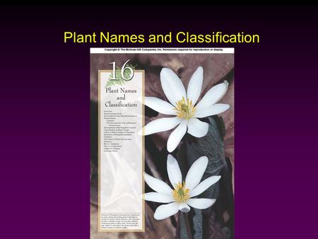 Plant Names and Classification. Outline Development of Binomial Nomenclature International Code of Botanical Nomenclature Development of the Kingdom Concept.