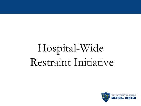 Hospital-Wide Restraint Initiative. Committee Members Vickie Geha Cathy Klotz Barb Kvale Deb Hanson Cathy Benninghoff Kathy Boyk Caryn Flournoy Kerri.