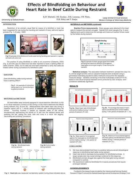 Effects of Blindfolding on Behaviour and Heart Rate in Beef Cattle During Restraint Large Animal Clinical Sciences Western College of Veterinary Medicine.
