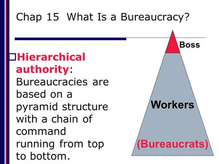 Chap 15 What Is a Bureaucracy?