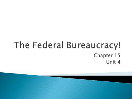 Chapter 15 Unit 4.  Defined: A complex web of federal agencies w/overlapping jurisdiction  Perception: wasteful, confusing, & rigid (big government)