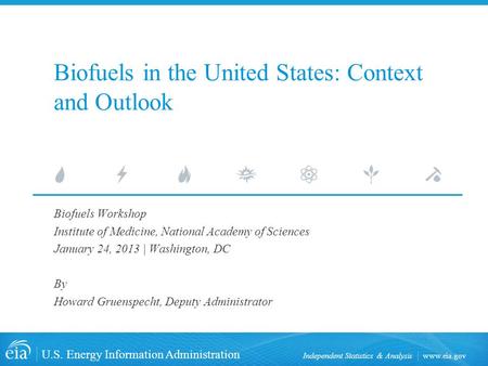 Biofuels in the United States: Context and Outlook