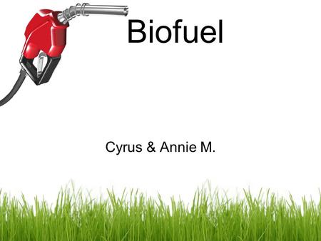 Biofuel Cyrus & Annie M.. Manure Animal waste can be converted into energy through the process of anaerobic digestion (AD). AD converts organic matter.