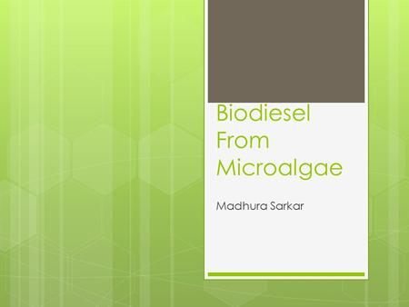 Biodiesel From Microalgae