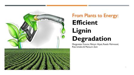 Lignin Degradation From Plants to Energy: Efficient Biofuels