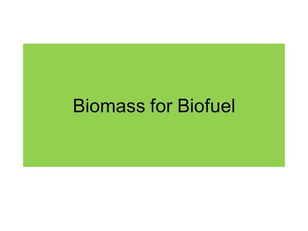 Biomass for Biofuel.